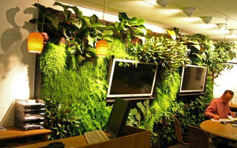 广州锦森室内植物墙设计